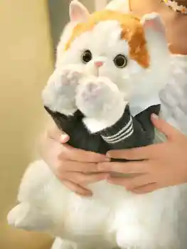 Japonijos Džentelmenas Riebalų Oranžinė Katė Pliušinis Žaislas Britų Trumpas Modeliavimas Kačiukas Gyvūnėlių Mielas Rankų darbo Lėlės Dovana Vaikams DY10093
